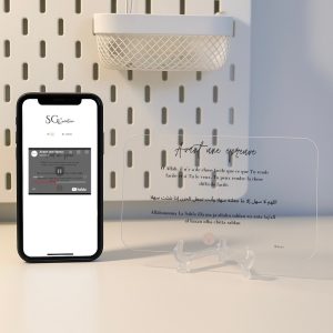 PLEXI DOUA AUDIO